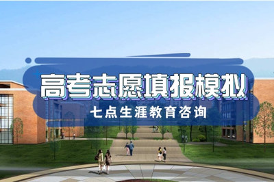 德阳志愿填报模拟与跆拳道技术咨询指南